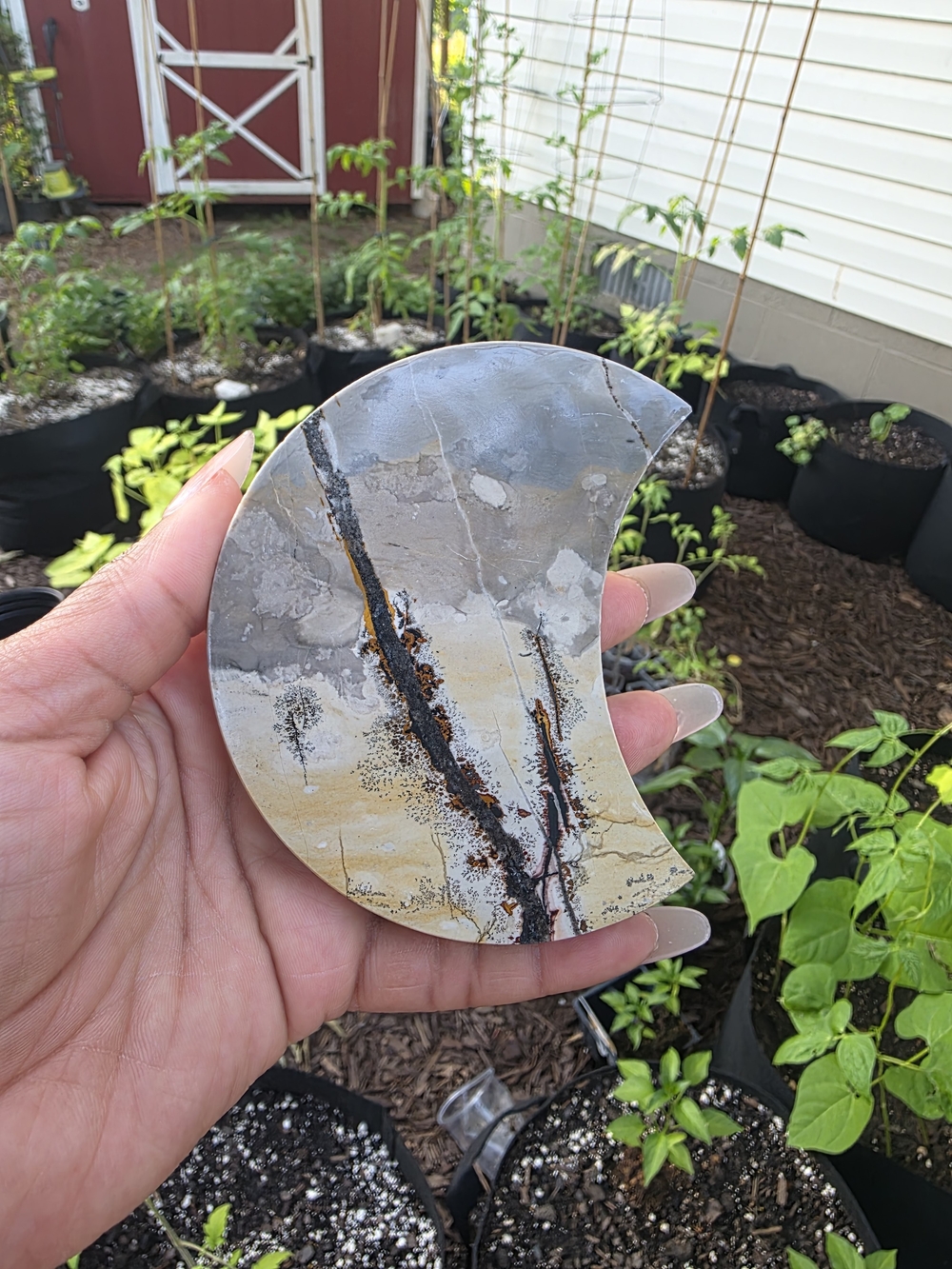 Picture Jasper Crescent Moon in Gray and Cream